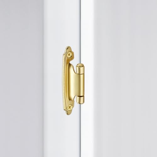 4 Pack (2 Pairs) Gold Cabinet Hinges for Kitchen Doors, Self-Closing, 1/2 Inch Overlay (Variable), Semi-Concealed Face Frame, Surface Mount Cabinet Hardware, Satin Brass - color: Gold