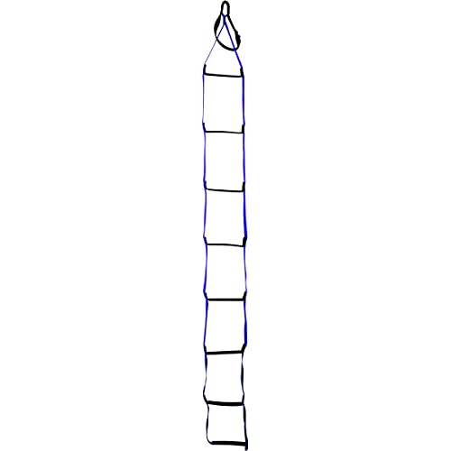 Metolius Ladder Aider - color: Blue