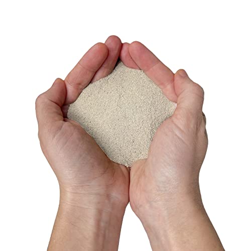 ConSandtrate Concrete Crack Filler - Gray - 3 lb. (Single Bottle) - Polymer Based Sealant for Filling in Concrete Cracks on Driveways, Walkways and Patios (White) - color: White