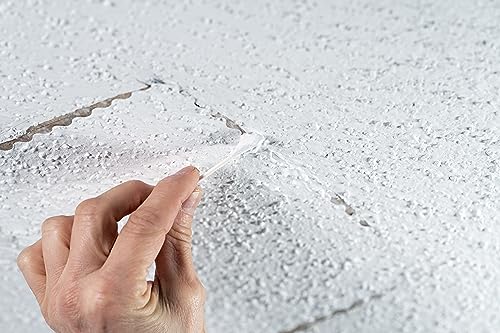 Hyde 09954 Popcorn Ceiling Patch Repair Kit, White, 2 9x6-inch Patches, 2 4-inch Round Patches, 2 Ounces of Joint Compound Drywall Mud, 2 Cotton Swabs - size: 2 9x6-inch Patches,, style: Peel and Stick