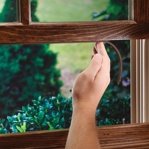 M-D Building Products 02592 1/8 in. x 3/8 in. x 17 ft. Brown Premium Rubber Window Seal for Ex-Small Gaps - color: Brown, size: 1/8 in. x 3/8 in.
