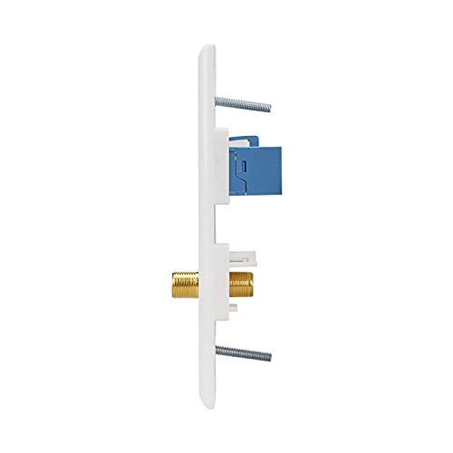 Ethernet Coax Wall Plate 2Pack,1 Cat6 Ethernet Port and 1 Gold-Plated Cable TV Coax F Type Port Wall Plate (White)