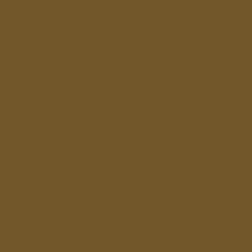 Testors Null 1144TT Enamel Paint, 1/4 oz Glass Bottle, Gold - color: Gold, size: 0.25 Fl Oz (Pack of 1)