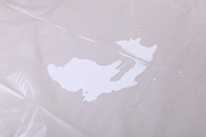 Plastic Sheeting (10' x 25') Long, 6 Mil Polyethylene Film & 12 Pack of Painters Plastic Drop Cloth 9x12 Feet.