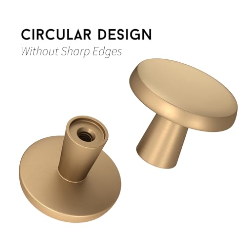 Goldenwarm 30 Pack Champagne Bronze Cabinet Knobs for Cabinets and Drawers Knobs for Dresser Drawers Cabinet Pulls Round Kitchen Cabinet Knobs - color: Champagne Bronze