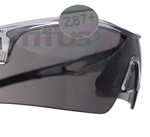 TITUS G20 All Sport Safety Glasses Shooting Eyewear Motorcycle Protection ANSI Z87+ Compliant - color: Black Frame - Smoke Lens - With Fitted Hard Case