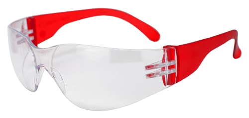 BISON LIFE Clear Safety Glasses – ANSI Z87.1 Scratch & Impact Resistant Wrap Around Eye Protection Goggles for Men & Women - color: Clear/Red