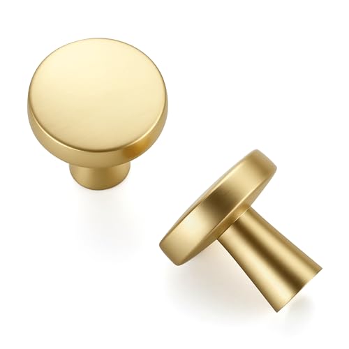 Ravinte 10 Pack Brushed Brass Cabinet Knobs Mini Round Knobs Single Hole Solid Drawer Pulls for Dresser Drawers -1 Inch Diameter - color: Brushed Brass