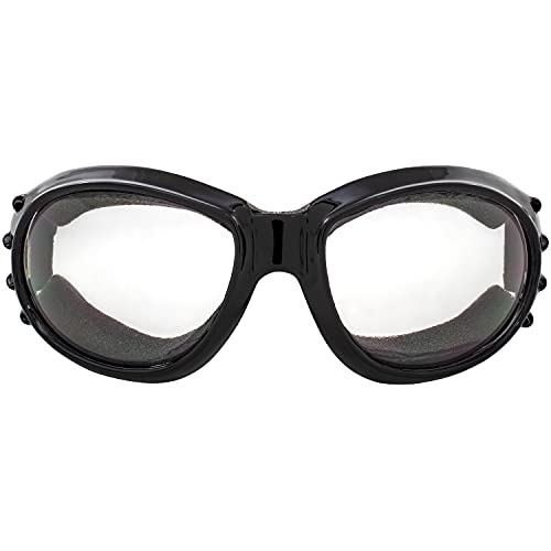 Birdz Eyewear Eagle Red Baron Motorcycle & Airsoft Goggles Clear and Super Dark Lenses for All-Weather, ATV, Biker, Extreme Sports, and Dust Protection