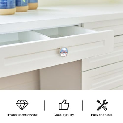 Transparent Cabinet Knobs Set of 4, Round, Clear, Drawer Pulls with Screws, Tropical Beach Animal Bird Flamingo - color: color19341