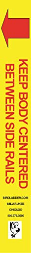 300 lb. 1A Step Ladder Safety Label w/Inspection Tag Package (Pack of 6)