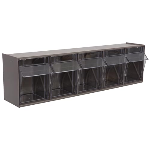 Akro-Mils TiltView Plastic Storage Cabinet with 5 Tilt Out Bins, Horizontal Plastic Parts Organizer, Teacher Toolbox, and Office Supply Organizer, 23-5/8" W x 6-1/2" H x 5-5/8" D, Mocha Raspberry - color: Mocha Raspberry, style: 5 Drawers