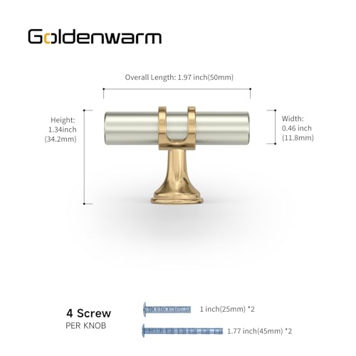 goldenwarm 10 Pack Brushed Nickel and Gold Cabinet Knobs Kitchen Cabinet Knobs Gold Drawer Pull Handles Brushed Nickel Drawer Hardware, Single Hole Handles - color: Brushed Nickel&Gold, size: 10 Pack