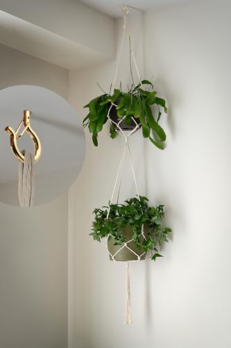 PlusRoc 20 Pack Ceiling Hooks for Hanging Plants Outdoor String Lights Heavy Duty, 2.2 Inch Eye Hook Screw in Cup Hooks Q-Hanger for Patio Lights, Wall Wood Fence Deck Mount(Gold) - color: Gold