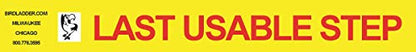 300 lb. 1A Step Ladder Safety Label w/Inspection Tag Package (Pack of 6)