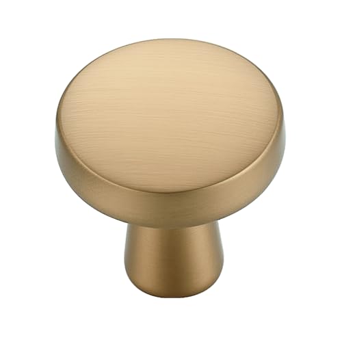 Ravinte 10 Pack Champagne Bronze Cabinet Knobs Mini Round Knobs Single Hole Solid Drawer Pulls for Dresser Drawers -1 Inch Diameter - color: Champagne Bronze