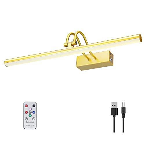 Picture Light, Picture Lights for Wall Cordless, 20inch Battery Operated Wall Lights with Timer and Dimmable, Rechargeable Metal Picture Lights for Display Gallery Painting Art Frame Portrait - Gold - color: Sparkly Gold, size: 20"