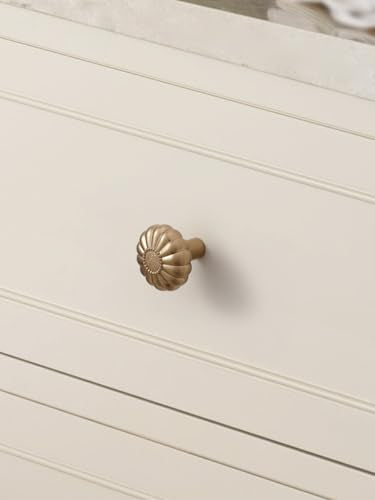 JIASENABO Champagne Bronze Cabinet Knobs 10 Pack Drawer Pulls Kitchen Cupboard Bathroom Dresser Cabinet Hardware Handles Zinc Alloy - color: Champagne Bronze, size: Knob