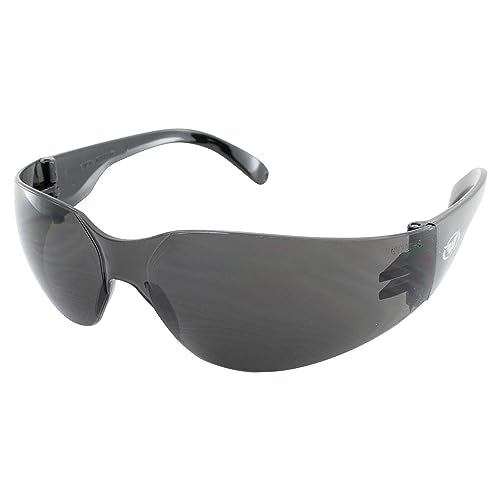 Rider Safety Glasses - color: Black-smoke