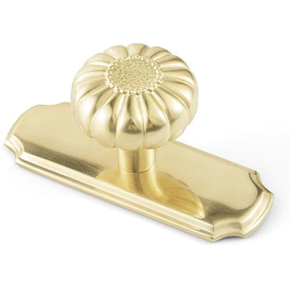 Unlacquered Brass Cabinet Knob with Backplate, Solid Brass Pumpkin Drawer Pull for Kitchen and Vanity, 6 Pack - color: Unlacquered Brass, size: Knob