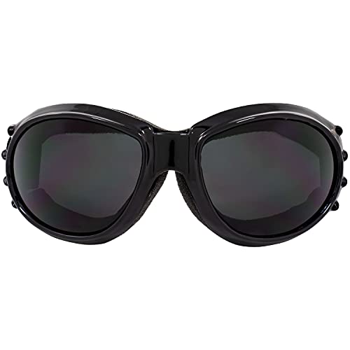 Birdz Eyewear Eagle Red Baron Motorcycle & Airsoft Goggles Clear and Super Dark Lenses for All-Weather, ATV, Biker, Extreme Sports, and Dust Protection