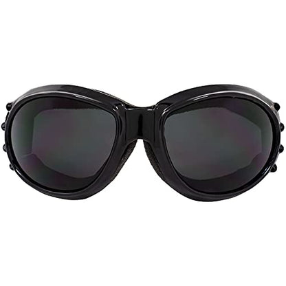 Birdz Eyewear Eagle Red Baron Motorcycle & Airsoft Goggles Clear and Super Dark Lenses for All-Weather, ATV, Biker, Extreme Sports, and Dust Protection