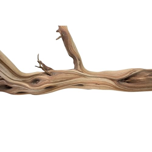 Koyal Wholesale California Driftwood with Natural Brown Branches, 36-Inch Large Driftwood Decor - size: 36 Inches