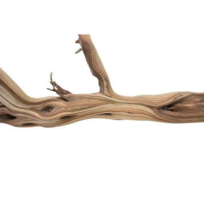 Koyal Wholesale California Driftwood with Natural Brown Branches, 36-Inch Large Driftwood Decor - size: 36 Inches