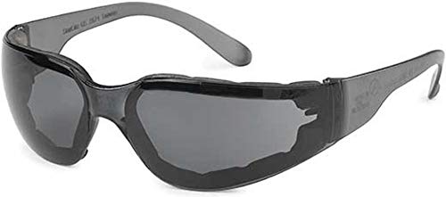 Gateway Safety 46FP78 Starlite FoamPRO Safety Glasses, Gray Anti-Fog Lens, One Size, Gray Temple (Pack of 10) - color: Gray
