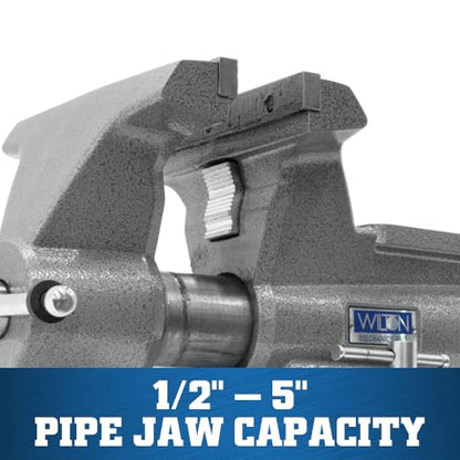 Wilton Mechanics Pro Bench Vise, 10" Jaw(Width-12", Opening-5-1/4") Throat (Model 8100M), gray - size: 10 in.