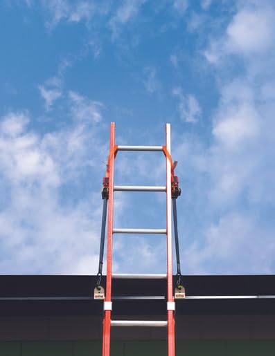 Life Grab Ladder Stabilizer - 2-Pack Adjustable Ratchet Strap System, Universal Fit Ladder Security Accessory, Robust Hook Attachments for Roof & Tree Work, Enhanced Stability & Safety, Easy Install