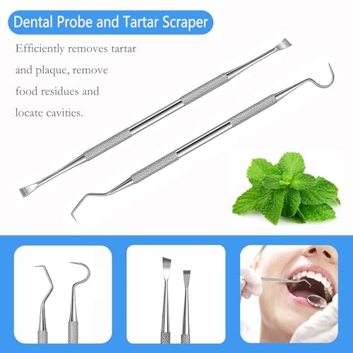 Dental Tools, Professional Plaque Remover Teeth Cleaning Tool Kit, Stainless Steel Dental Pick Tartar Scraper Tooth Cleaner, Oral Care Hygiene Set for Dentist Personal Pets with Storage Box