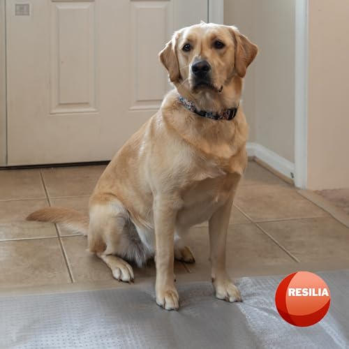 Pet Carpet Protector - Doorway Damage Deterrent and Scratch-Stopper for Cats, Dogs, and Pets, Heavy-Duty PVC Runner, Cut to Fit, Clear, 30 Inches x 48 Inches, Made in The USA - size: 30" x 48"
