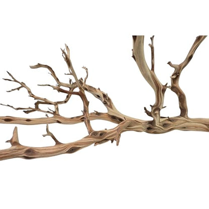 Koyal Wholesale California Driftwood with Natural Brown Branches, 36-Inch Large Driftwood Decor - size: 36 Inches