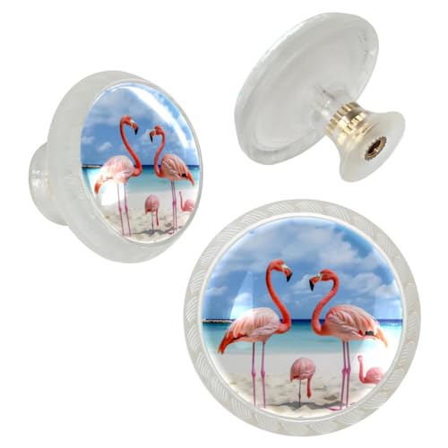Transparent Cabinet Knobs Set of 4, Round, Clear, Drawer Pulls with Screws, Tropical Beach Animal Bird Flamingo - color: color19341