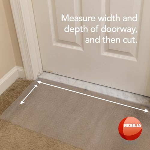 Pet Carpet Protector - Doorway Damage Deterrent and Scratch-Stopper for Cats, Dogs, and Pets, Heavy-Duty PVC Runner, Cut to Fit, Clear, 30 Inches x 48 Inches, Made in The USA - size: 30" x 48"