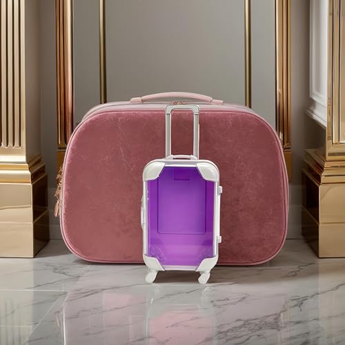 False Eyelash Storage Box, Portable Travel Organizer Mini Luggage False Eyelash Tray Makeup Tool (PURPLE) - color: PURPLE