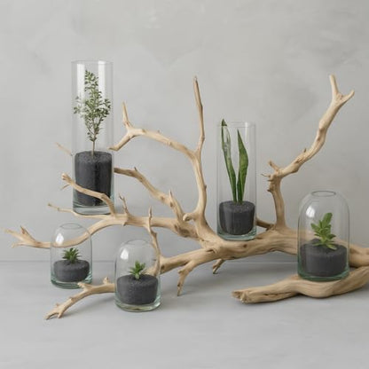 Koyal Wholesale California Driftwood with Natural Brown Branches, 36-Inch Large Driftwood Decor - size: 36 Inches