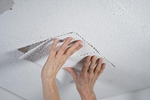 Hyde 09954 Popcorn Ceiling Patch Repair Kit, White, 2 9x6-inch Patches, 2 4-inch Round Patches, 2 Ounces of Joint Compound Drywall Mud, 2 Cotton Swabs - size: 2 9x6-inch Patches,, style: Peel and Stick