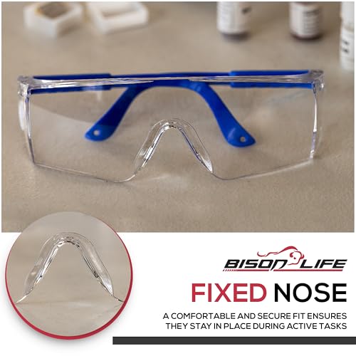 BISON LIFE Anti Fog Clear Safety Glasses with Adjustable Temple & Side Protection, Wraparound Anti-Scratch Lens, Clear Lens & Blue Temple, Lab Goggles, Mowing, Gardening & More (Pack of 3) - color: Clear/Blue