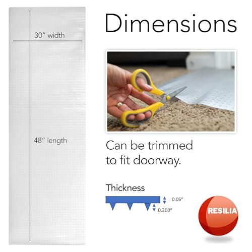 Pet Carpet Protector - Doorway Damage Deterrent and Scratch-Stopper for Cats, Dogs, and Pets, Heavy-Duty PVC Runner, Cut to Fit, Clear, 30 Inches x 48 Inches, Made in The USA - size: 30" x 48"
