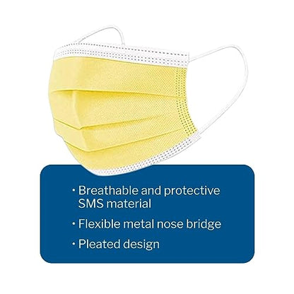 McKesson Procedure Mask Pleated 91-2101