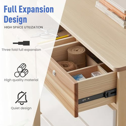10 inch Drawer Slides 2 Pairs (4pcs) Black Full Extension Ball Bearing,3 fold Metal Dresser Runners 100 LB Load Capacity Side Mount File Cabinet Rails - size: 2 Pairs