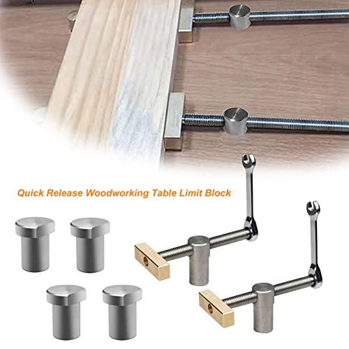 2 Pack Bench Dog Clamp with 4 Pack Woodworking 3/4 Inch Bench Dogs Hole Clamp Adjustable Workbench Stop Stainless Steel Brass Carpenter Tool (19mm)