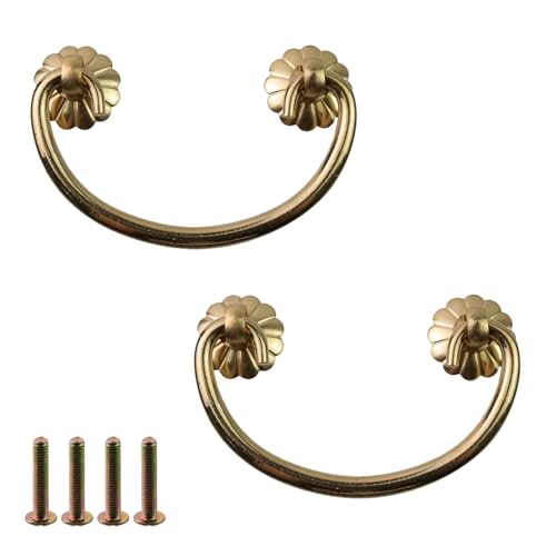 Geesatis 2 Pack Jewelry Box Handles - 2.6 Inch Hole Center Drawer Pulls with Mounting Screws - Vintage Cabinet Knobs for Small Drawers, Craft Box & DIY Furniture - style: H