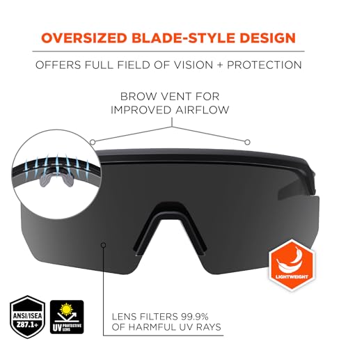 Ergodyne Skullerz AEGIR Anti Scratch Safety Glasses, Anti-Fog, ANSI z87.1 - color: Smoke Lens