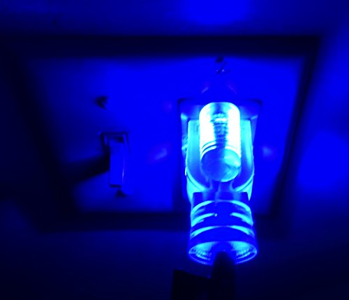 OdorStop OSEC1430 Extension Cords with Blue LED Lights on Both Ends, 14/3 SJTW, 30-ft - size: 14/3, 30 ft