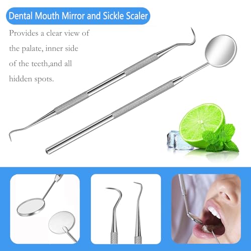 Dental Tools, Professional Plaque Remover Teeth Cleaning Tool Kit, Stainless Steel Dental Pick Tartar Scraper Tooth Cleaner, Oral Care Hygiene Set for Dentist Personal Pets with Storage Box