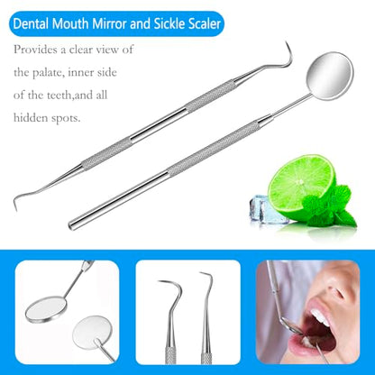 Dental Tools, Professional Plaque Remover Teeth Cleaning Tool Kit, Stainless Steel Dental Pick Tartar Scraper Tooth Cleaner, Oral Care Hygiene Set for Dentist Personal Pets with Storage Box