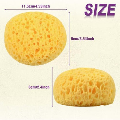 4PCS Texture Sponge Kit Drywall Patch Ceiling Repair Tool for Knockdown Orange Peel and Splatter Texture DIY Painting Wall Decor Home Renovation Paint Sponges for Professional Finishes
